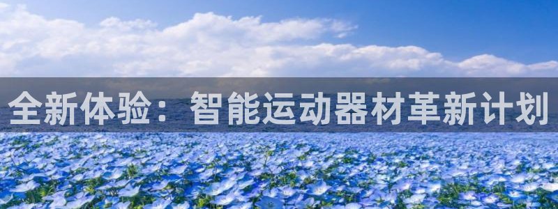 德国凯捷体育集团:全新体验:智能运动器材革新计划