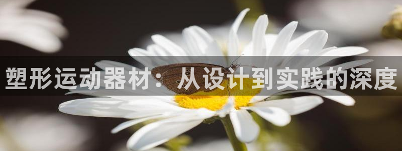凯捷体育娱乐:塑形运动器材:从设计到实践的深度